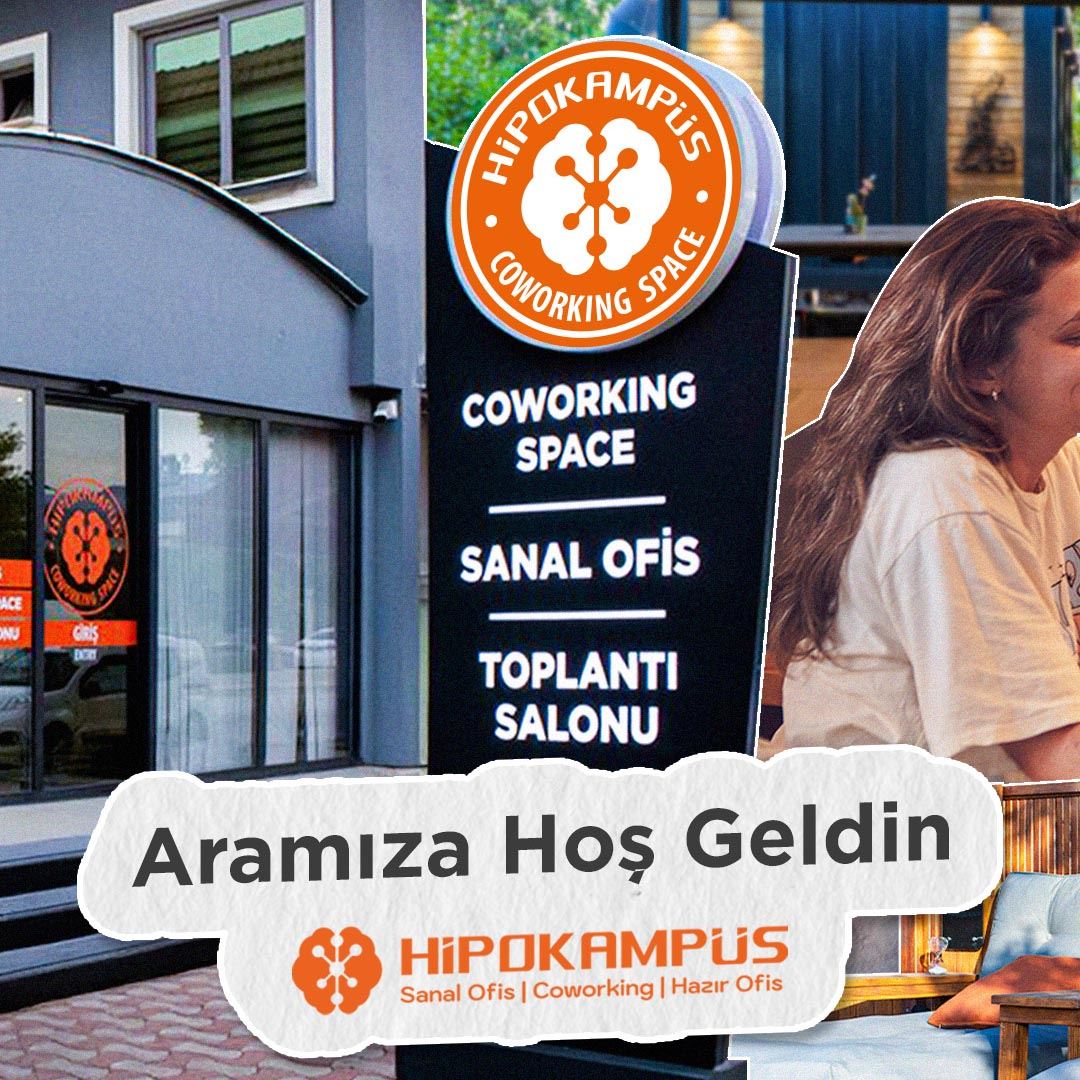 Hipokampüs Sosyal Medya Yönetimi