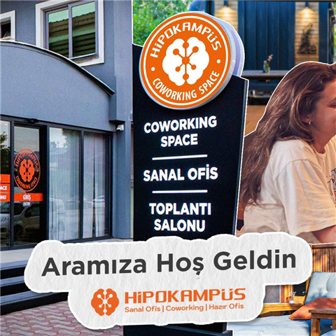 Hipokampüs Sosyal Medya Yönetimi